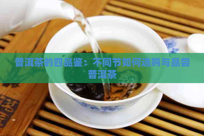 普洱茶的四品鉴：不同节如何选购与品尝普洱茶