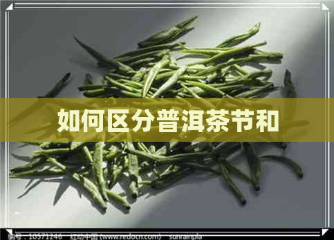 如何区分普洱茶节和