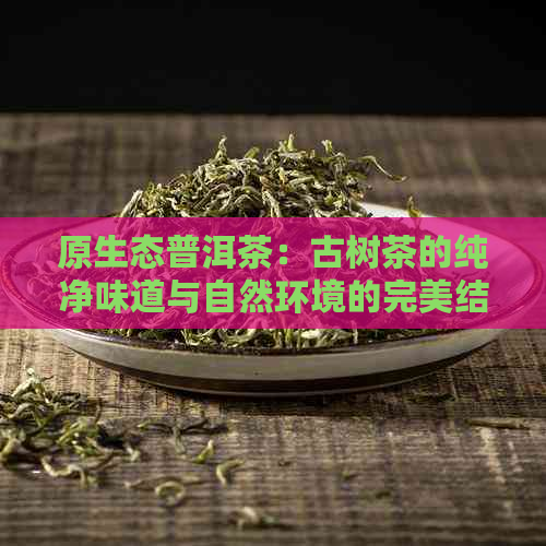 原生态普洱茶：古树茶的纯净味道与自然环境的完美结合