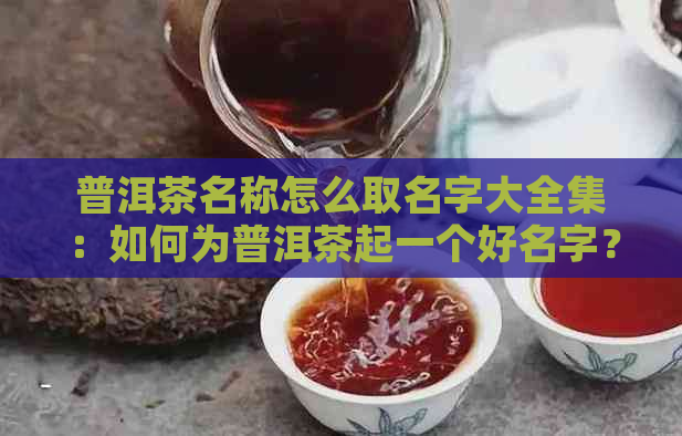 普洱茶名称怎么取名字大全集：如何为普洱茶起一个好名字？