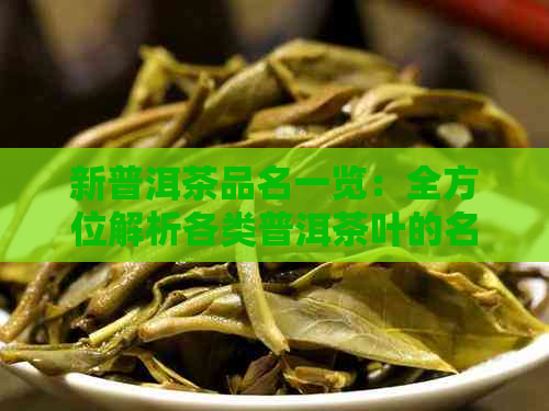 新普洱茶品名一览：全方位解析各类普洱茶叶的名称与特性