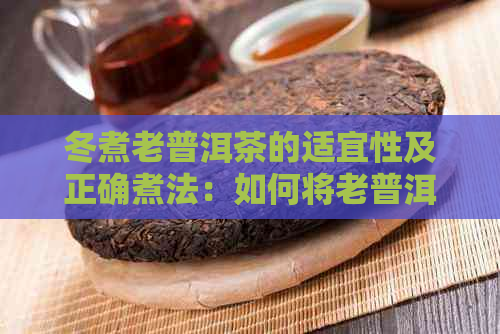 冬煮老普洱茶的适宜性及正确煮法：如何将老普洱茶的味道发挥到极致？