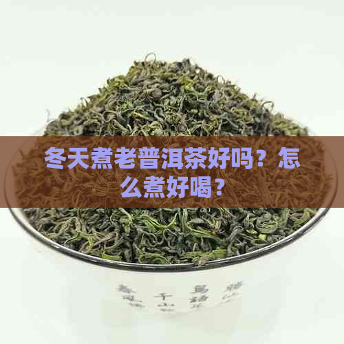 冬天煮老普洱茶好吗？怎么煮好喝？