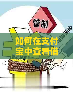 如何在支付宝中查看借呗剩余还款金额以及相关操作指南