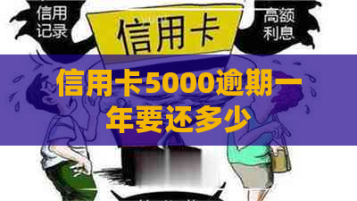 信用卡5000逾期一年要还多少