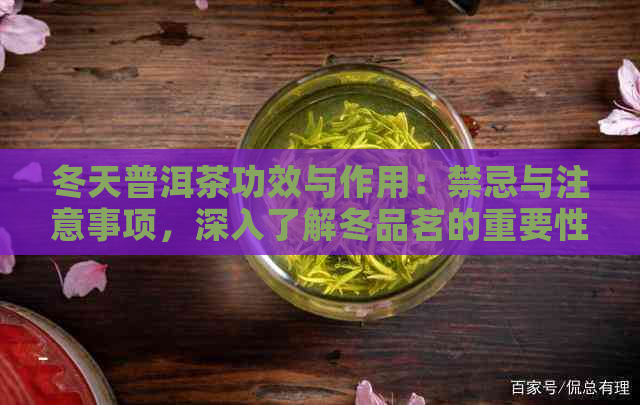 冬天普洱茶功效与作用：禁忌与注意事项，深入了解冬品茗的重要性