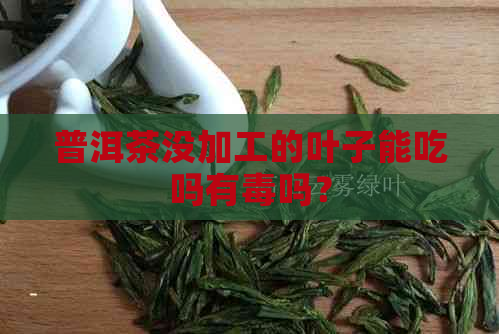 普洱茶没加工的叶子能吃吗有吗？