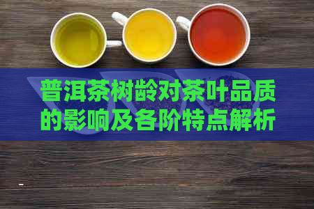 普洱茶树龄对茶叶品质的影响及各阶特点解析