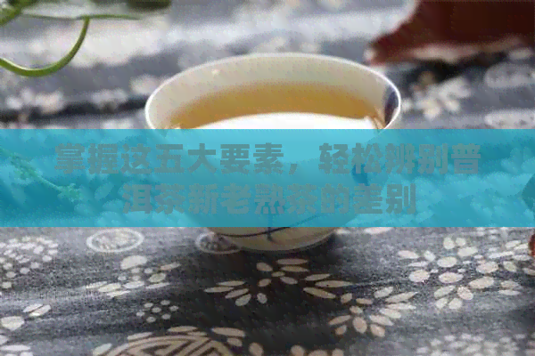 掌握这五大要素，轻松辨别普洱茶新老熟茶的差别