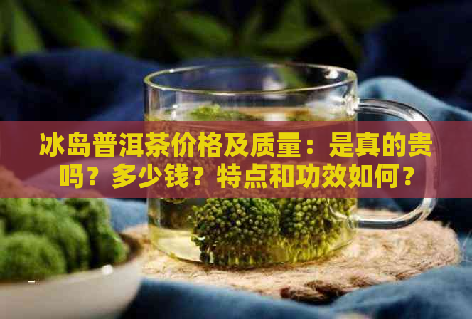 冰岛普洱茶价格及质量：是真的贵吗？多少钱？特点和功效如何？