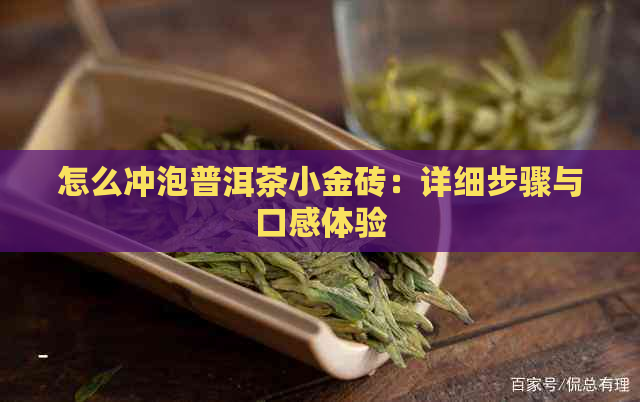 怎么冲泡普洱茶小金砖：详细步骤与口感体验