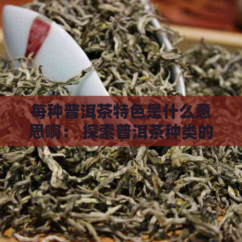 每种普洱茶特色是什么意思啊： 探索普洱茶种类的特点与含义