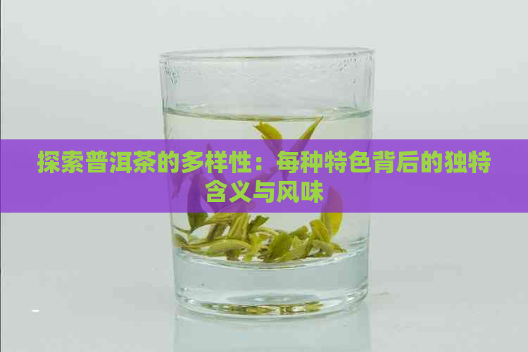 探索普洱茶的多样性：每种特色背后的独特含义与风味