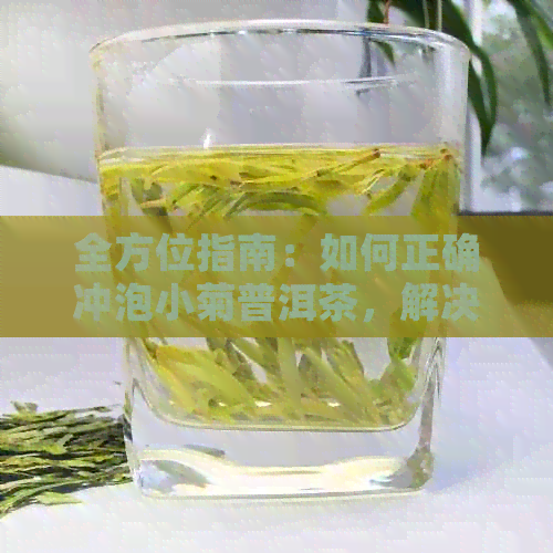 全方位指南：如何正确冲泡小菊普洱茶，解决用户可能遇到的所有问题