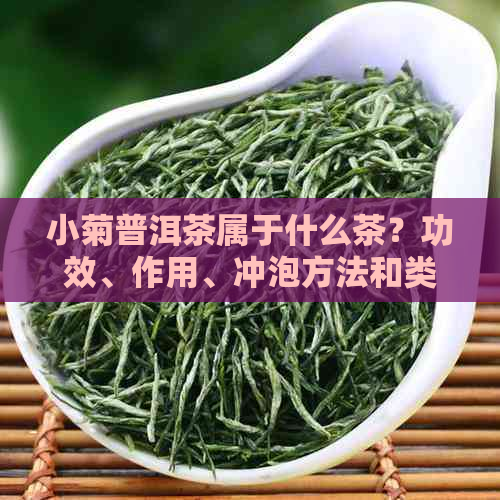 小菊普洱茶属于什么茶？功效、作用、冲泡方法和类型。生茶还是熟茶？