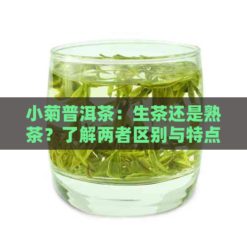 小菊普洱茶：生茶还是熟茶？了解两者区别与特点