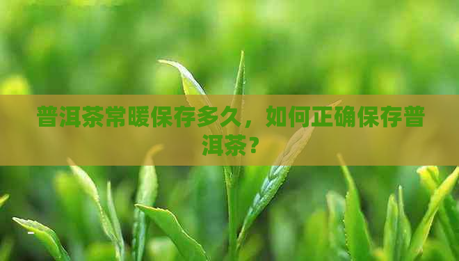 普洱茶常暖保存多久，如何正确保存普洱茶？