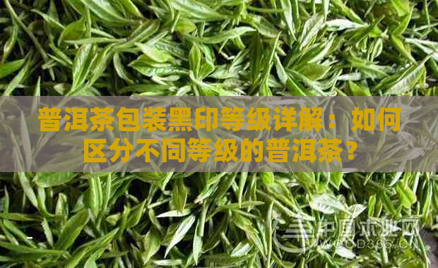 普洱茶包装黑印等级详解：如何区分不同等级的普洱茶？