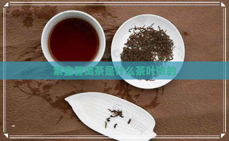 紫金普洱茶是什么茶叶做的