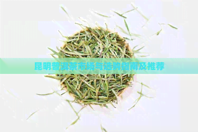 昆明普洱茶市场与选购指南及推荐