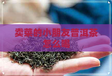 卖菜的小朋友普洱茶怎么喝