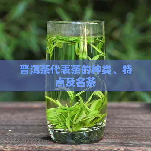 普洱茶代表茶的种类、特点及名茶