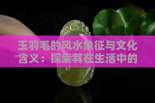 玉羽毛的风水象征与文化含义：探索其在生活中的应用与影响