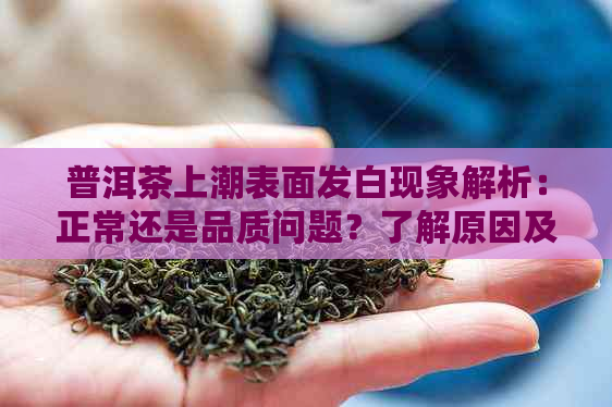 普洱茶上潮表面发白现象解析：正常还是品质问题？了解原因及预防措