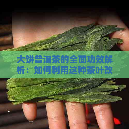 大饼普洱茶的全面功效解析：如何利用这种茶叶改善健和生活品质？