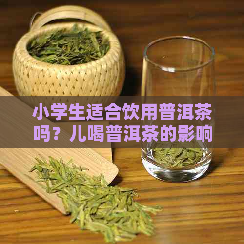 小学生适合饮用普洱茶吗？儿喝普洱茶的影响与注意事项