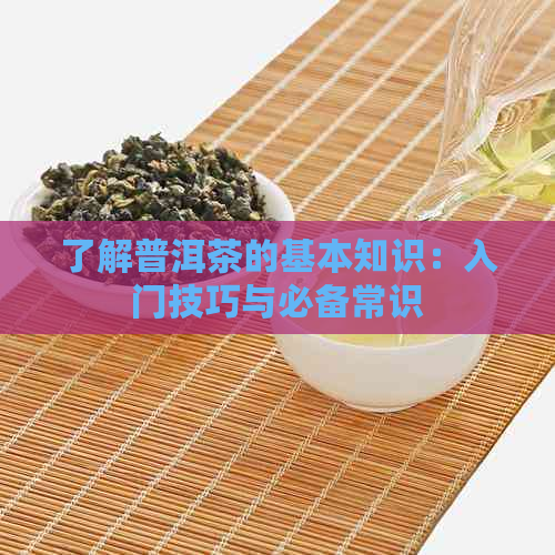 了解普洱茶的基本知识：入门技巧与必备常识