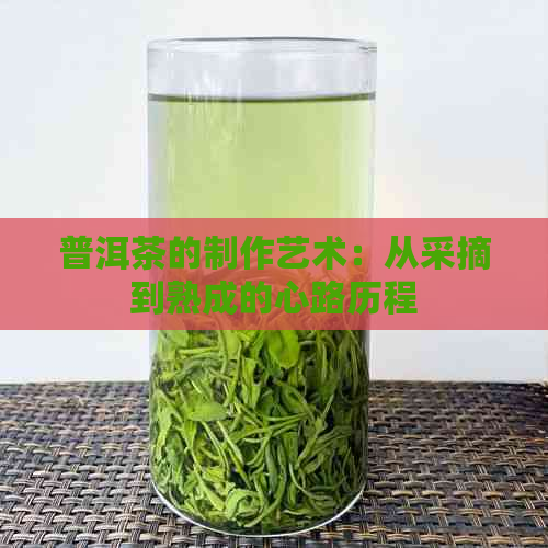 普洱茶的制作艺术：从采摘到熟成的心路历程