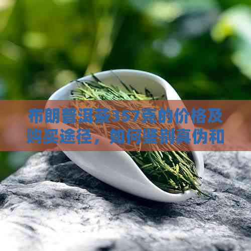 布朗普洱茶357克的价格及购买途径，如何鉴别真伪和口感评价？