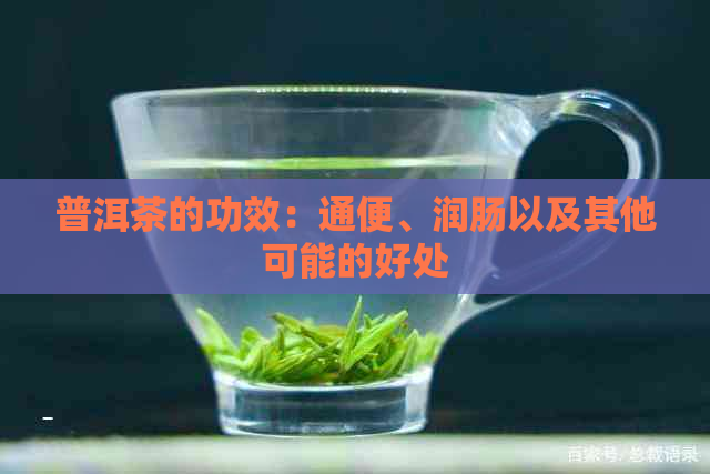 普洱茶的功效：通便、润肠以及其他可能的好处