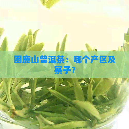 困鹿山普洱茶：哪个产区及寨子？