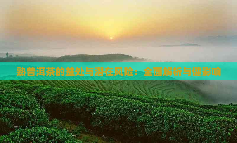 熟普洱茶的益处与潜在风险：全面解析与健影响