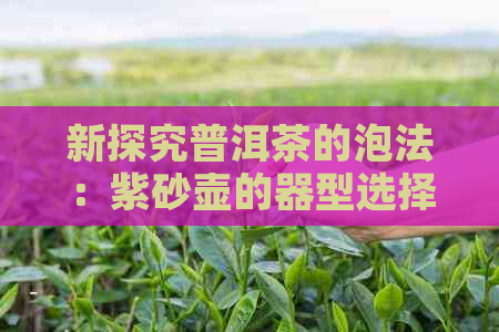 新探究普洱茶的泡法：紫砂壶的器型选择与使用技巧