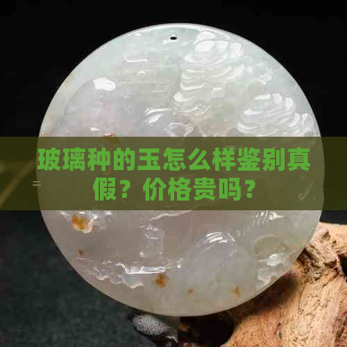 玻璃种的玉怎么样鉴别真假？价格贵吗？