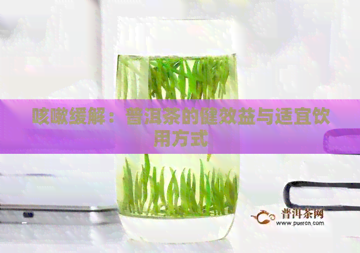 咳嗽缓解：普洱茶的健效益与适宜饮用方式