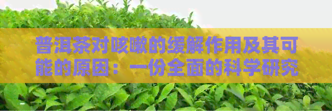 普洱茶对咳嗽的缓解作用及其可能的原因：一份全面的科学研究解析