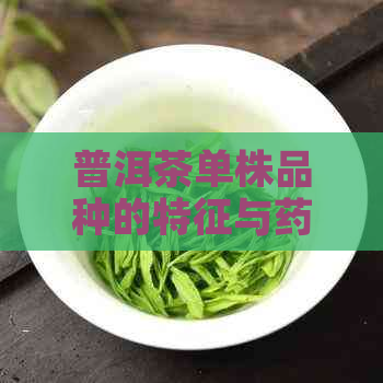 普洱茶单株品种的特征与药理作用：一次全面的解析