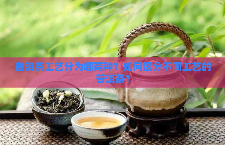 普洱茶工艺分为哪两种？如何区分不同工艺的普洱茶？