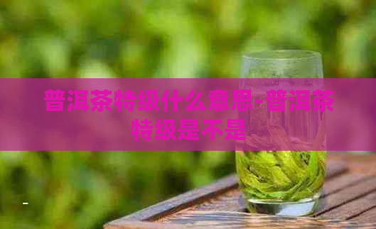 普洱茶特级什么意思-普洱茶特级是不是