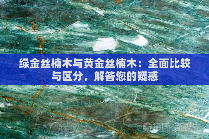 绿金丝楠木与黄金丝楠木：全面比较与区分，解答您的疑惑