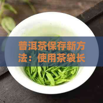 普洱茶保存新方法：使用茶袋长普洱茶保质期的科学原理与实践