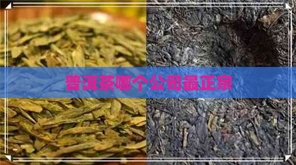 普洱茶哪个公司最正宗