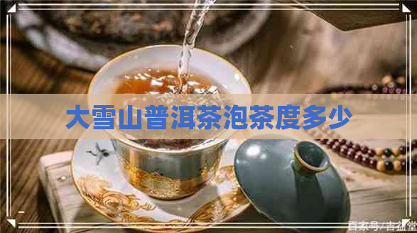 大雪山普洱茶泡茶度多少