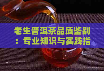 老生普洱茶品质鉴别：专业知识与实践指南