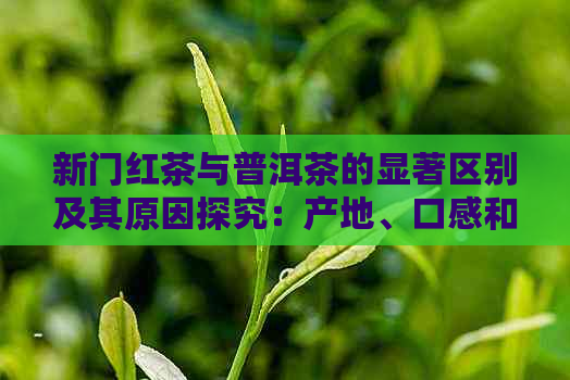 新门红茶与普洱茶的显著区别及其原因探究：产地、口感和陈化过程的影响