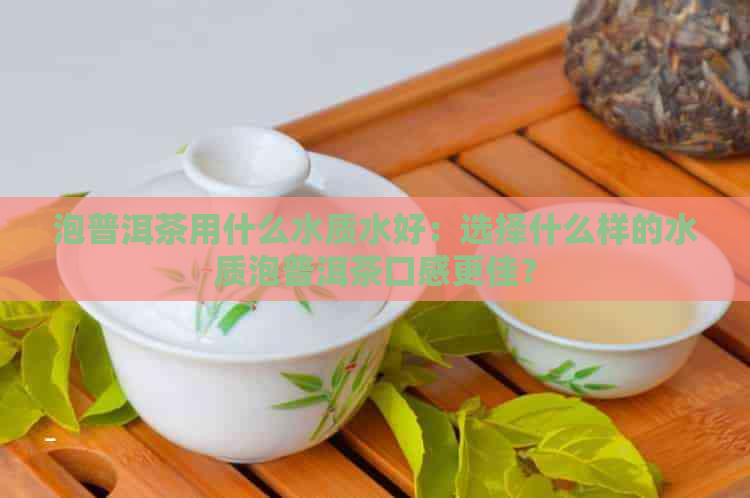 泡普洱茶用什么水质水好：选择什么样的水质泡普洱茶口感更佳？